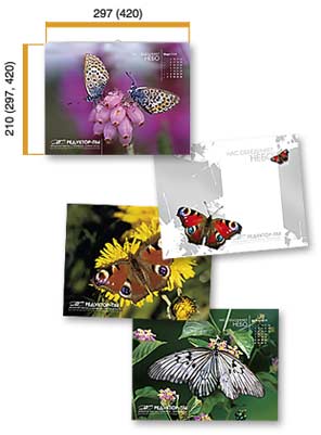 Календари перекидные настенные